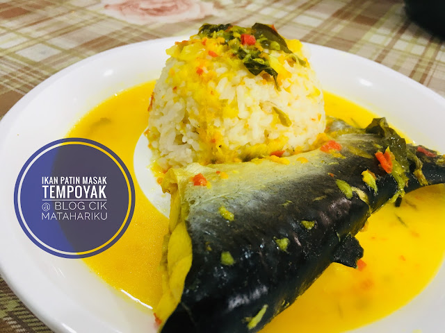 ikan patin masak tempoyak blog cik matahariku