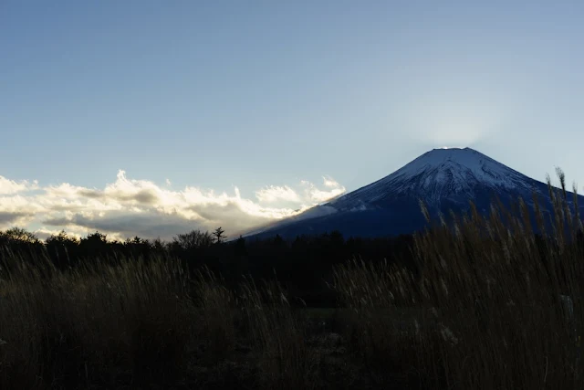 山中湖花の都公園から望む富士山