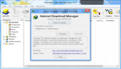 Internet Download Manager 6.14 Final