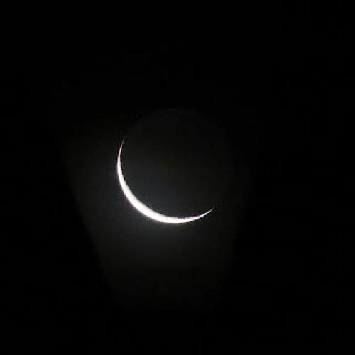 Balsamic Moon