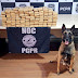 Ações com cães policiais da PCPR apreenderam 10,3 toneladas de drogas em 2022