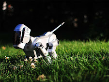 Robot dog in the grass