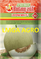 Bibit Melon Tahan Virus,bibit,melon,tahan,virus,lmga agro