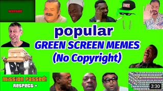 100 GREEN SCREEN MEMES FOR EDITING, NO COPYRIGHT