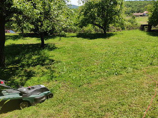 The never ending mowing of lawns continues