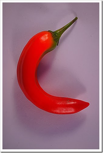 Korean-pepper-free-pictures-1 (1893) Korean-pepper-free-pictures-1 (1893)