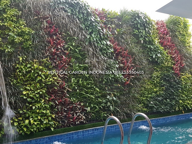 VERTICAL GARDEN INDONESIA SPESIALIS JASA PEMBUATAN VERTICAL GARDEN DI KELAPA GADING DAN DI SELURUH WILAYAH KELAPA GADING DENGAN TENAGA YANG PROFESIONAL DAN DAPAT DI PERCAYA YANG SELALU MENGUTAMAKAN SEBUAH MUTU DAN KUALITAS PEMASANGAN VERTICAL GARDEN/TAMAN DINDING, JASA TUKANG TAMAN VERTICAL KELAPA GADING, JASA VERTICAL GARDEN KELAPA GADING