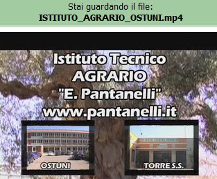 promozione della scuola