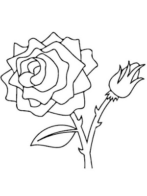 Flores para desenhar e colorir no papel - desenhos de rosas