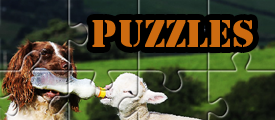 juegos de puzzles