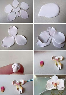 corso fimo milano