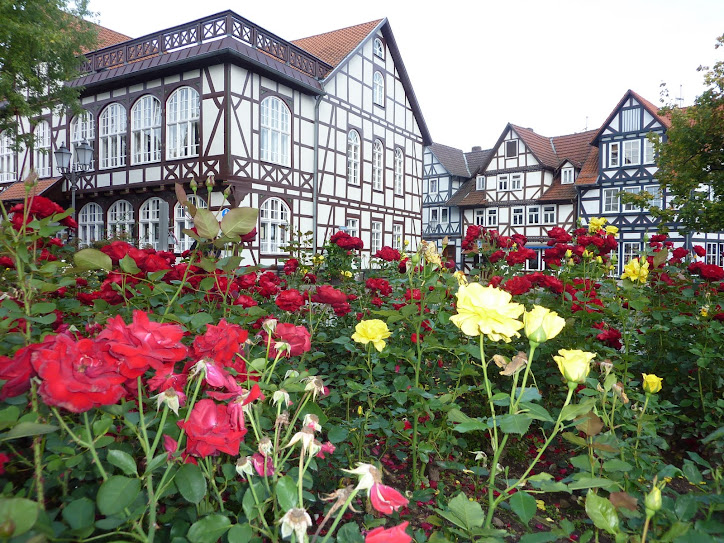 um jardim de flores a DONA LIBIA que faz aniversario Hoje, 04.11