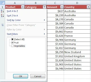 What is the use of Excel Sort and Filter Option in Hindi