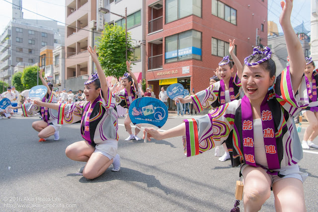 飛鳥連、女法被、マロニエ祭りの写真 その9