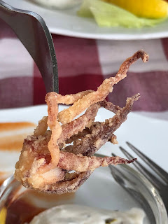 close up of fried squid