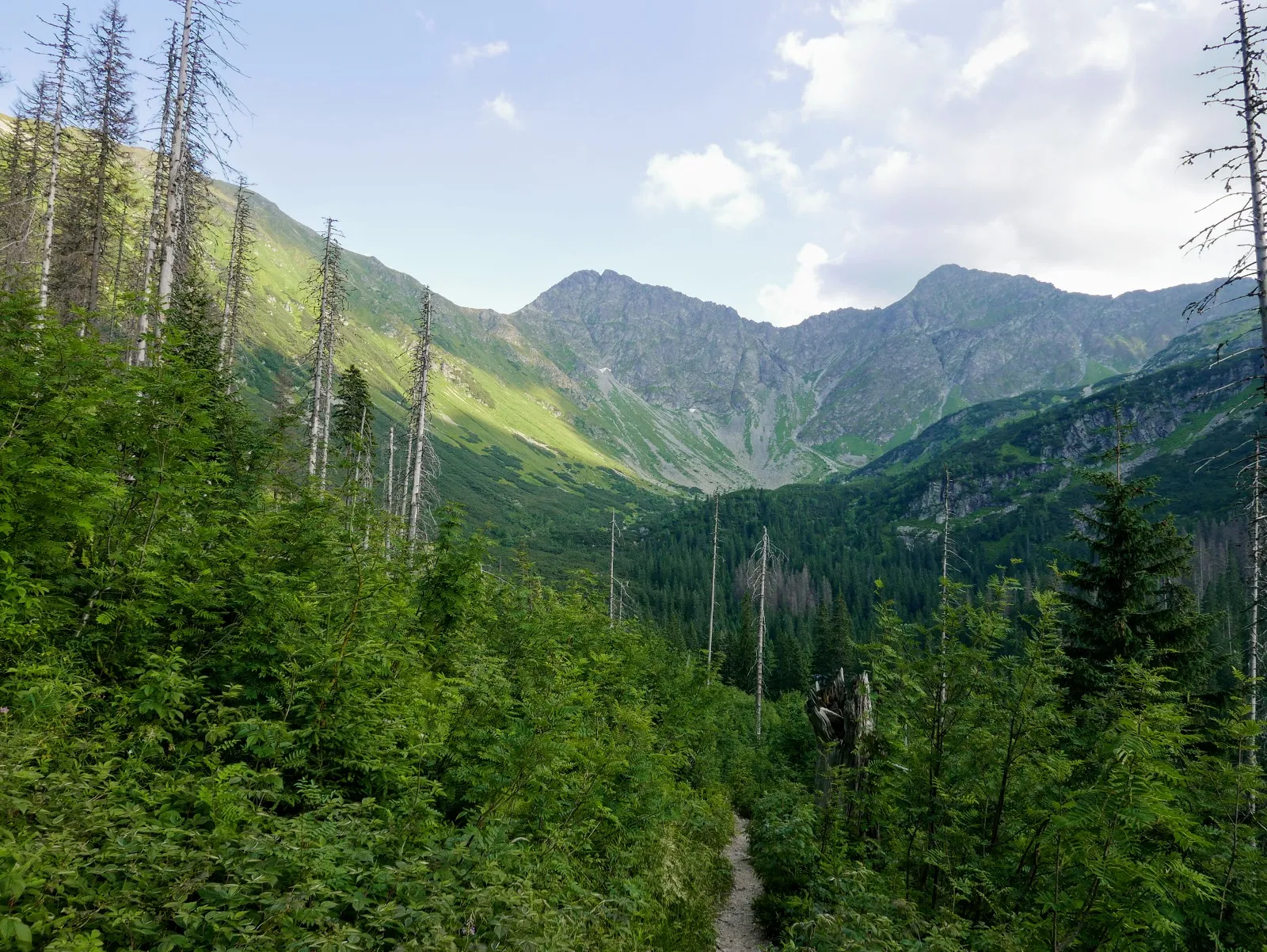 tatry, tatry zachodnie, tatry blog, tatry zachodnie blog, tatry słowacja, tatry słowacja blog, tatry dla początkujących, tatry dla zaawansowanych, szlaki w tatrach dla początkujących, szlaki w tatrach dla średniozaawansowanych, główna grań tatr, tatry zdjęcia blog, tatry latem, tatry latem blog, tatry opis szlaku, Salatín, Baníkov, Hrubá kopa, Plačlivé, Ostrý Roháč, Volovec, Rákoň, Salatyn, Banówka, Rohacz Płaczliwy, Rohacz Ostry, Wołowiec, Rakoń, Rohacka dolina, rohacki kon, orla perć tatr zachodnich, słowacka orla perć