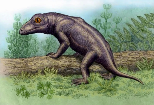 Никказавр (лат. Nikkasaurus)
