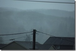DSCF1201