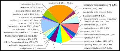human proteins by function