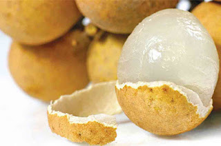 Longan Fruit Benefits for Human Health