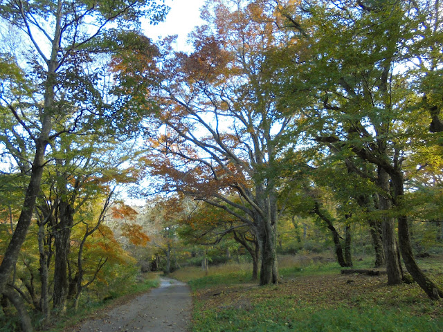 下山キャンプ場