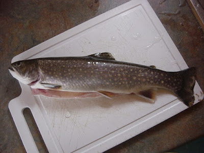 Large Trout Laid Onto a Cutting Board