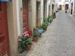 Rua de Santa Maria de Baixo de Castelo de Vide, Portugal (Street)