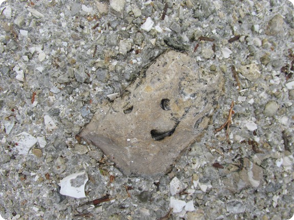 99 Happy Face Rock