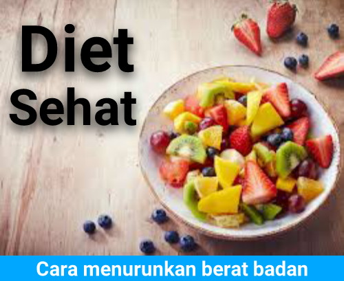 Cara Menurunkan Berat Badan Dengan Program Diet Yang Sehat 