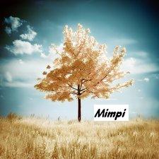 Mimpi