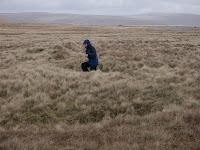 Tini emerges from shake hole