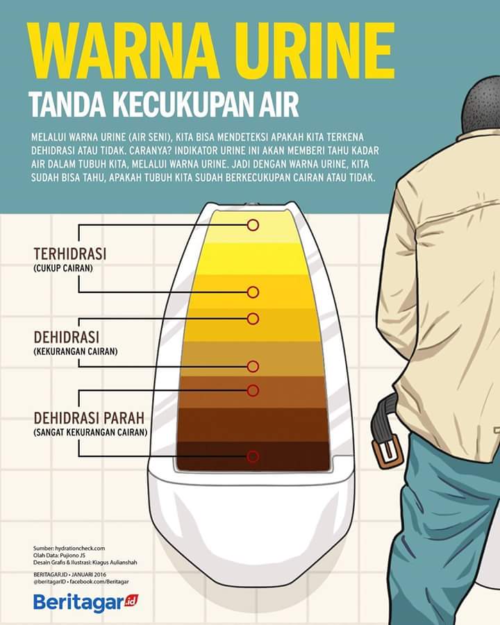 Apa Warna Air  Kencing anda Hari ini Blogbabyshambles 