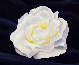 Flores, Fotos de Rosas Blancas, parte 2