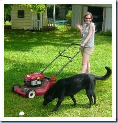 lawnmower