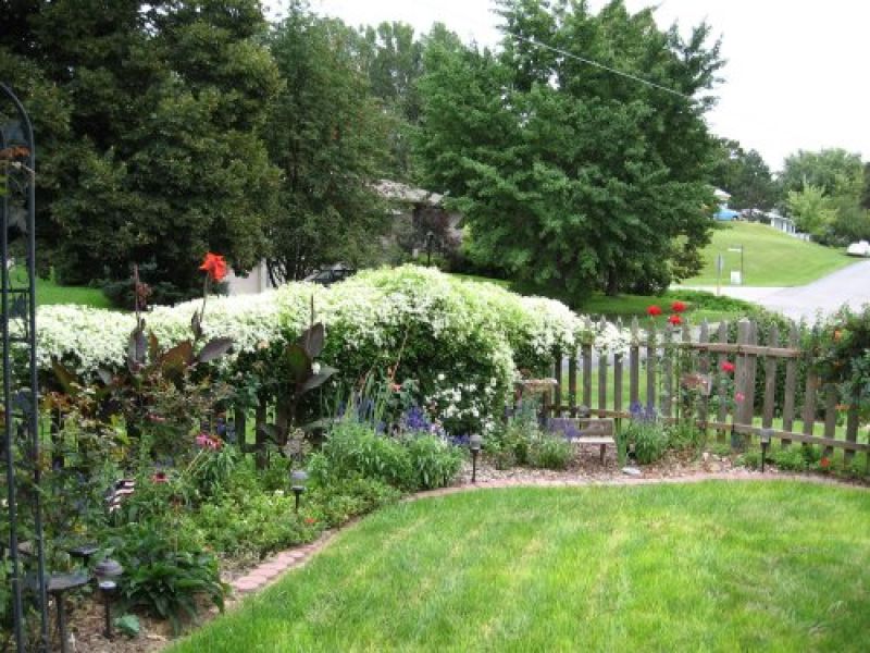 Landscape Border Fence