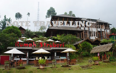 RUMAH PENGIN APAN STROBERI LEMBANG