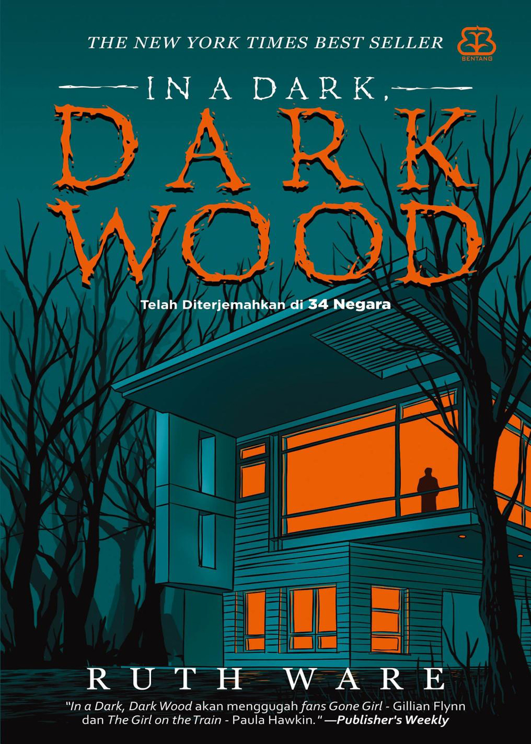 In A Dark Dark Wood