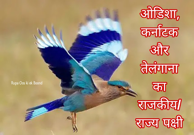 ओडिशा, कर्नाटक और तेलंगाना का राजकीय/राज्य पक्षी || State Bird Of Odisa,  Karnataka and Telangana ||