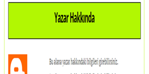 Blogger Yazı Altına Yazar Bölümü Ekleme