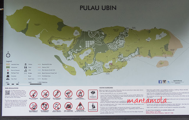 Ubin