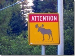 Roadside moose sign