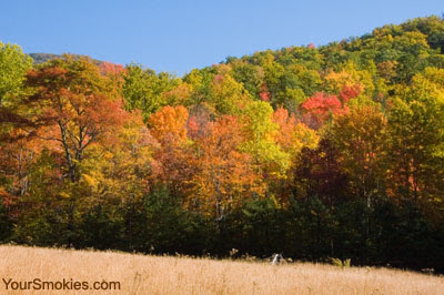 Wears Valley sits between Pigeon Forge and Townsend Tennessee and is one of the most picturesque areas of the Great Smoky Mountains