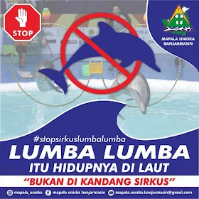 lumba-lumba bukan hewan sirkus