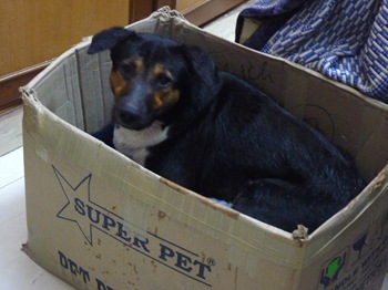 package