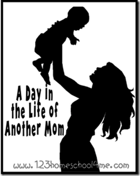 A Day in the Life of Another Mom Series