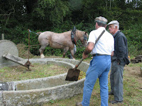 broyage dans la meule