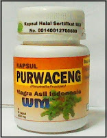 jual kapsul purwoceng di surabaya