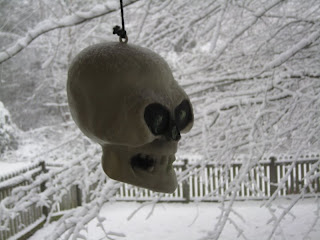 the Halloween skull decoration on my deck in Raleigh