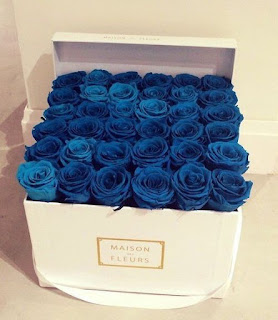 The Meaning Of A Blue Rose Can Also Be Influenced By Cultural Or Personal Interpretations