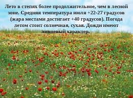 интересные факты